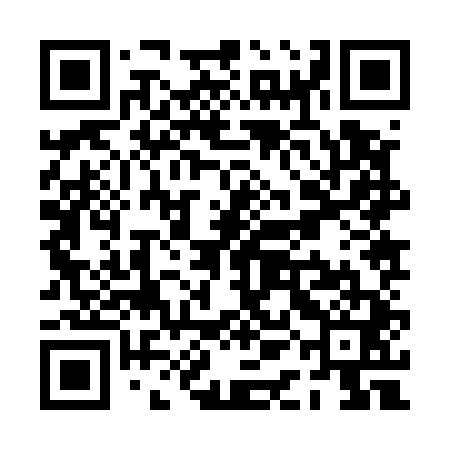 QR code for PAJ541