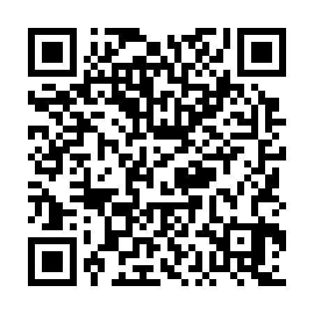 QR code for PAL323
