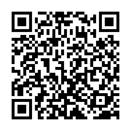 QR code for PDM228
