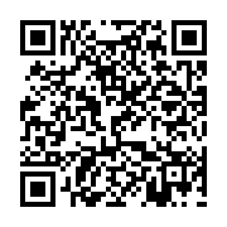 QR code for PLY383