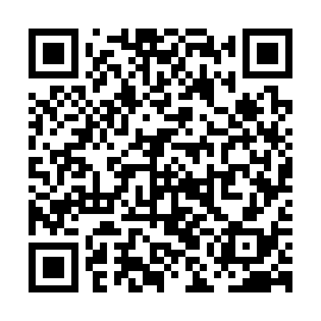 QR code for PMG338