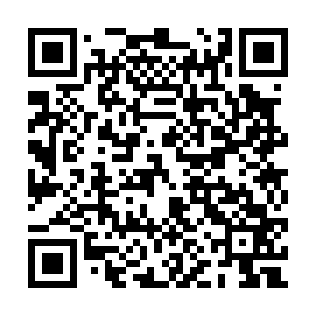 QR code for PNS063