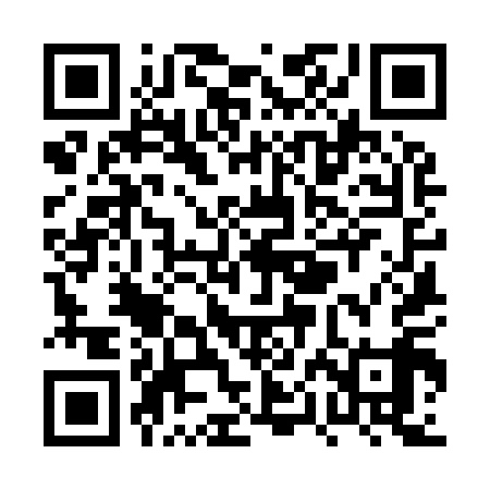 QR code for PPK919
