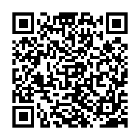 QR code for PPN517