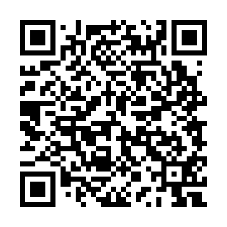 QR code for PPT311