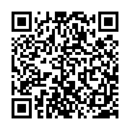 QR code for PST593