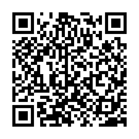 QR code for PYF311