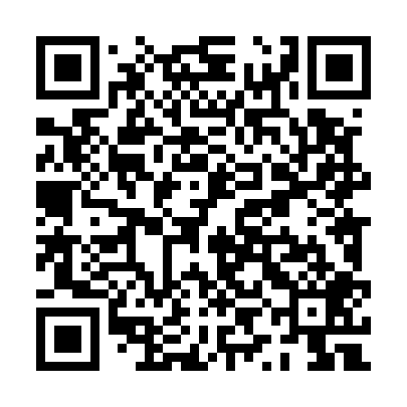QR code for PYL509