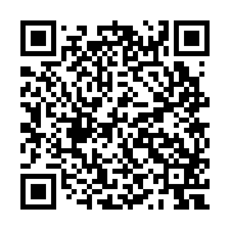 QR code for PYS383