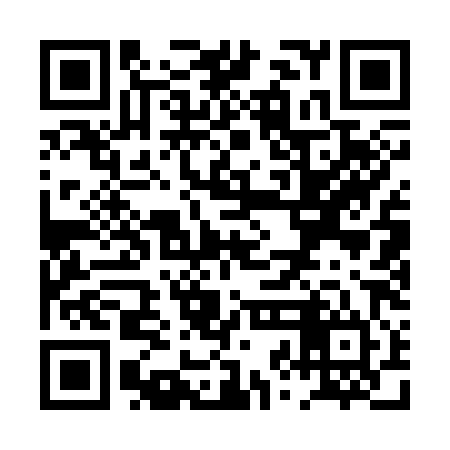 QR code for PZA384