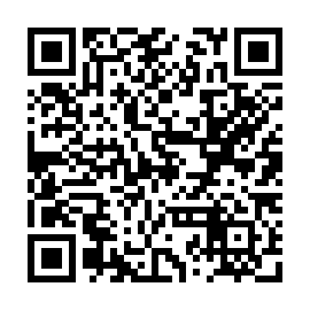 QR code for PZF381