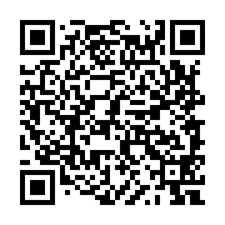 QR code for PZT998