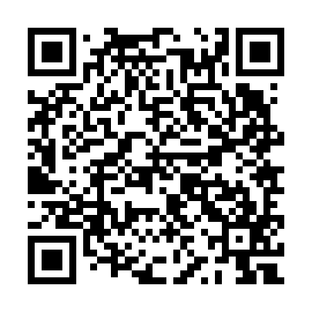 QR code for PZZ697