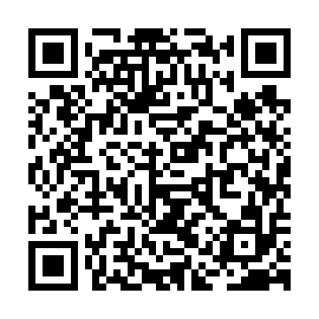 QR code for RAY612