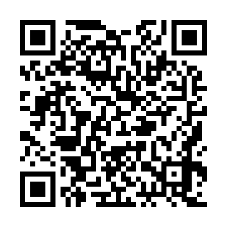 QR code for RAY978