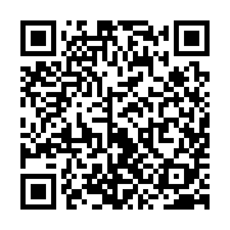 QR code for RSA389