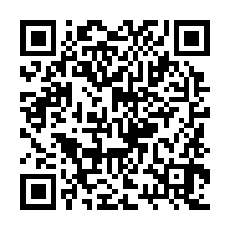 QR code for RSL382