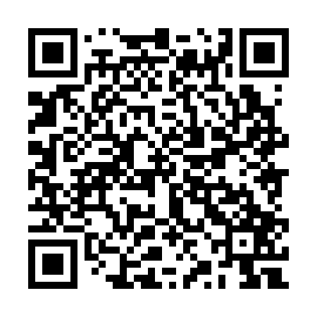 QR code for RZH307
