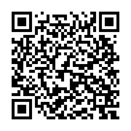 QR code for SAS763
