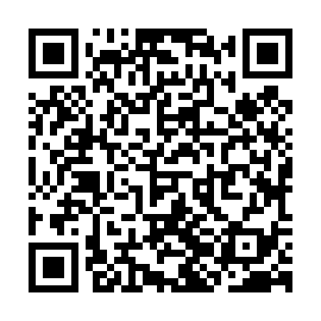 QR code for SJJ439