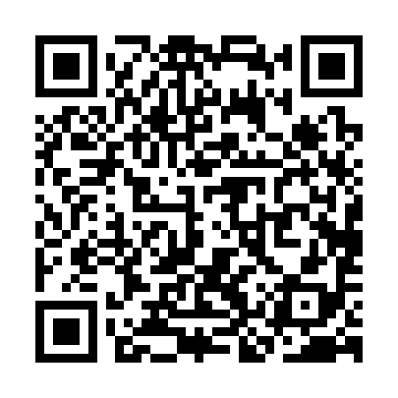 QR code for SKP398