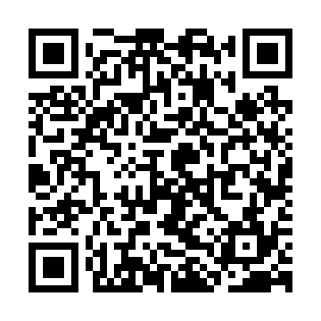 QR code for SLV234