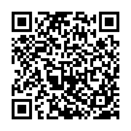 QR code for SPK384