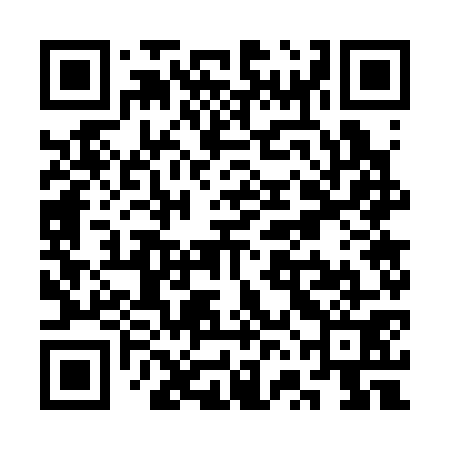 QR code for SVG371