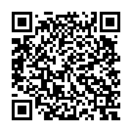 QR code for SVG463