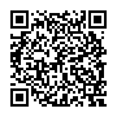 QR code for SVL393
