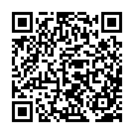 QR code for TGP384