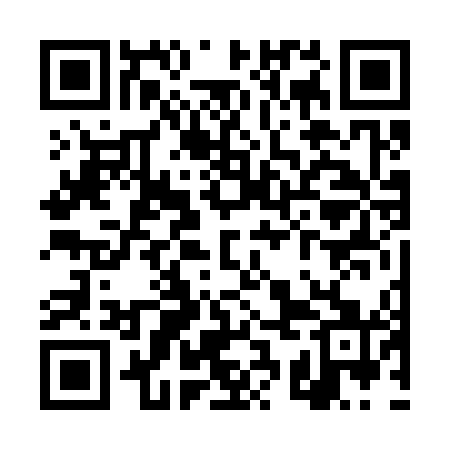 QR code for TSF341