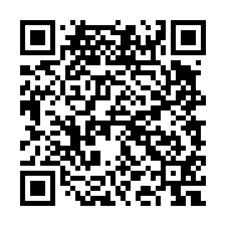 QR code for VAT411