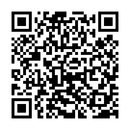 QR code for VFN498