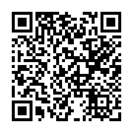 QR code for VFS333
