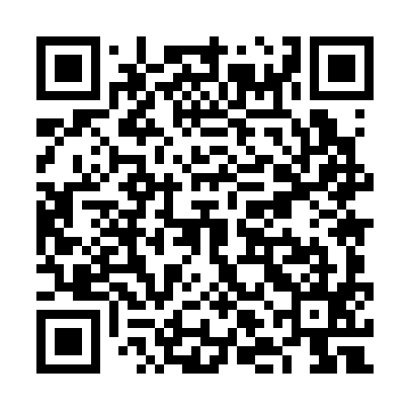 QR code for VLM395