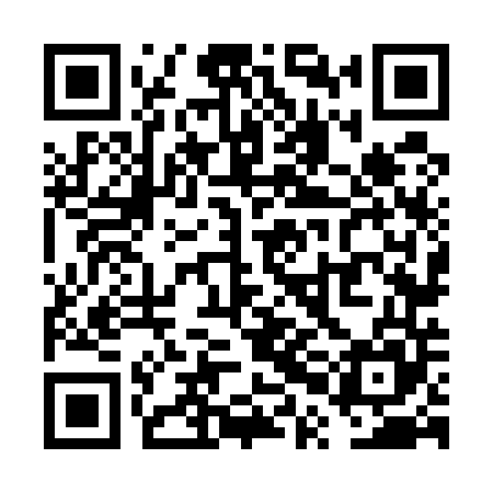 QR code for VPN545