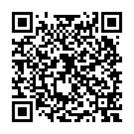 QR code for VPZ698
