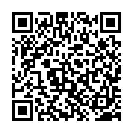 QR code for VSN393