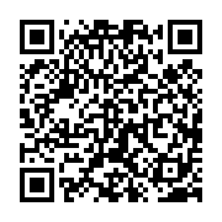 QR code for VSP411