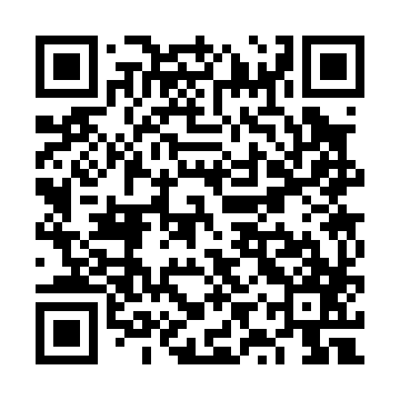 QR code for VYS087