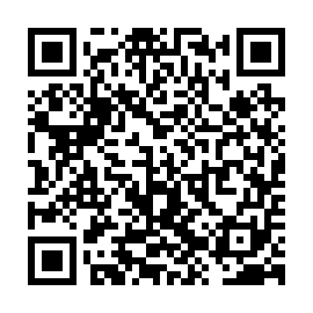 QR code for VZS251