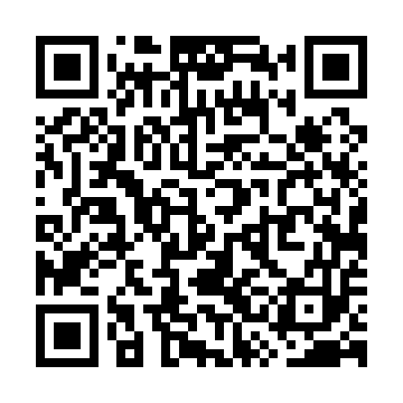 QR code for WSD153