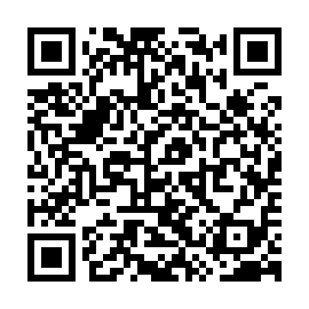 QR code for WSS919