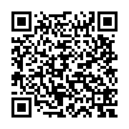 QR code for WWS528