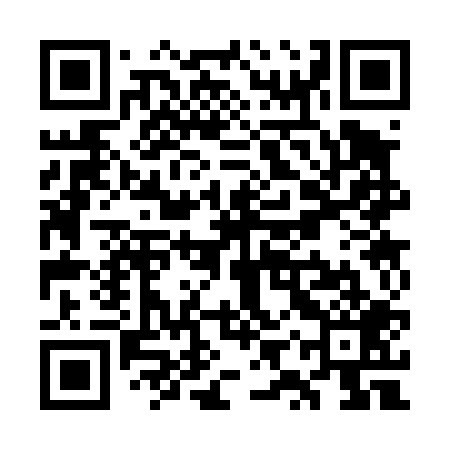 QR code for WYS409