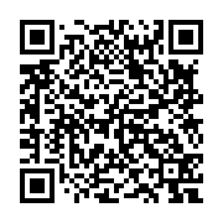 QR code for WYS833