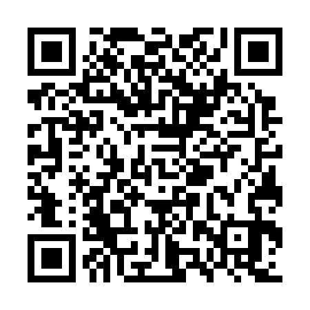 QR code for WZW333
