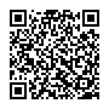 QR code for WZY768
