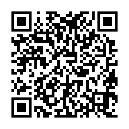 QR code for YAG391